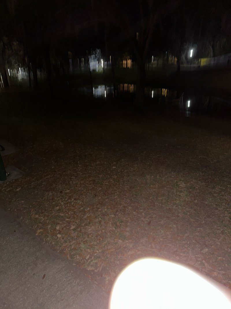 walking near me in Painter's Pond Park in spring