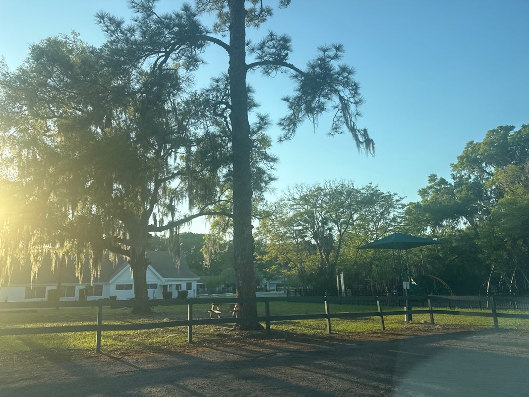walking near me in Jackson Lane Memorial Park in spring