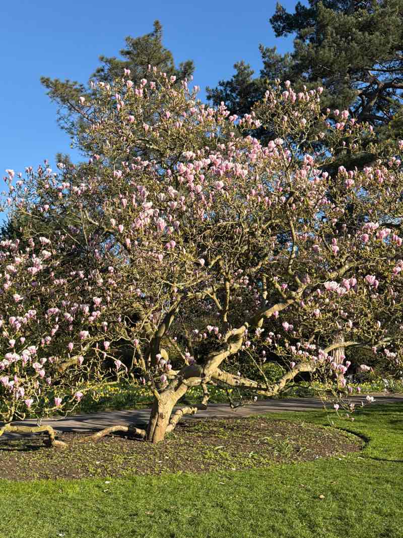 walking near me in Kew Green in spring