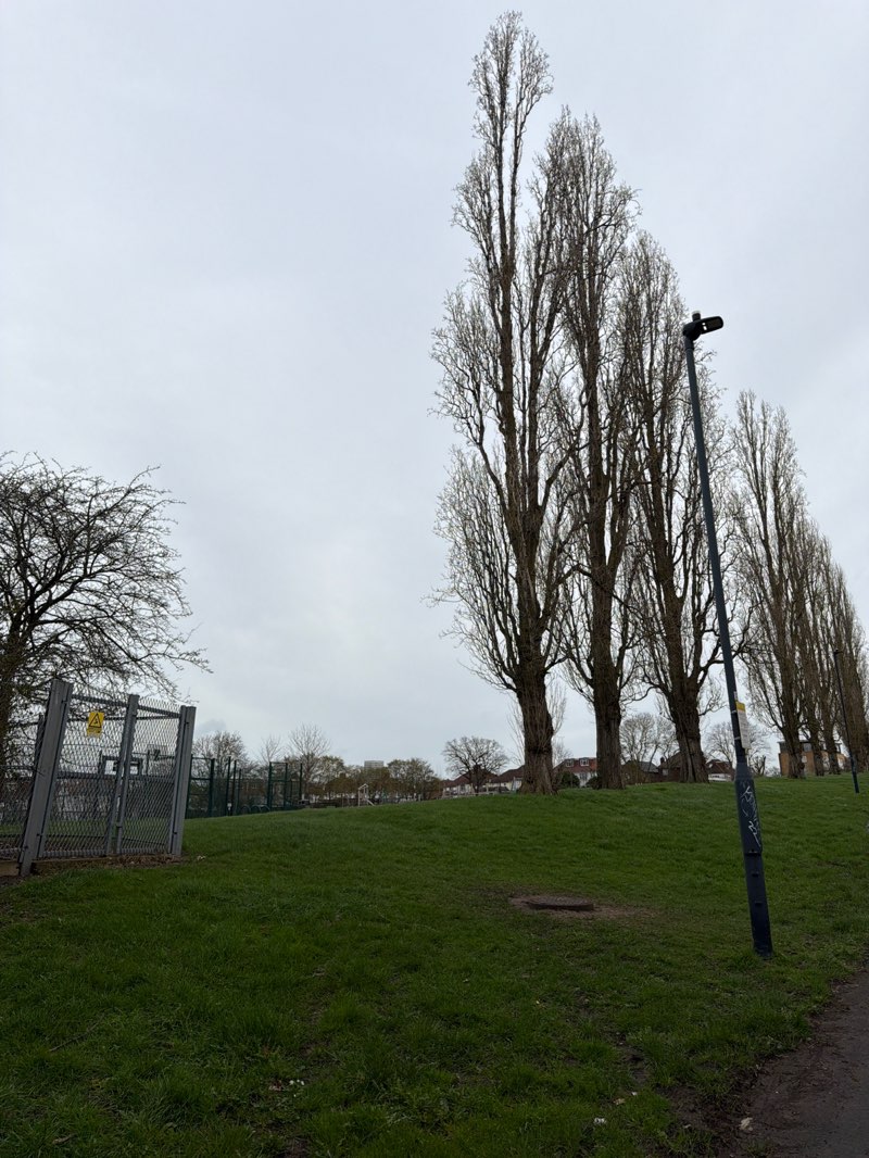 walking near me in One Tree Hill Open Space in spring