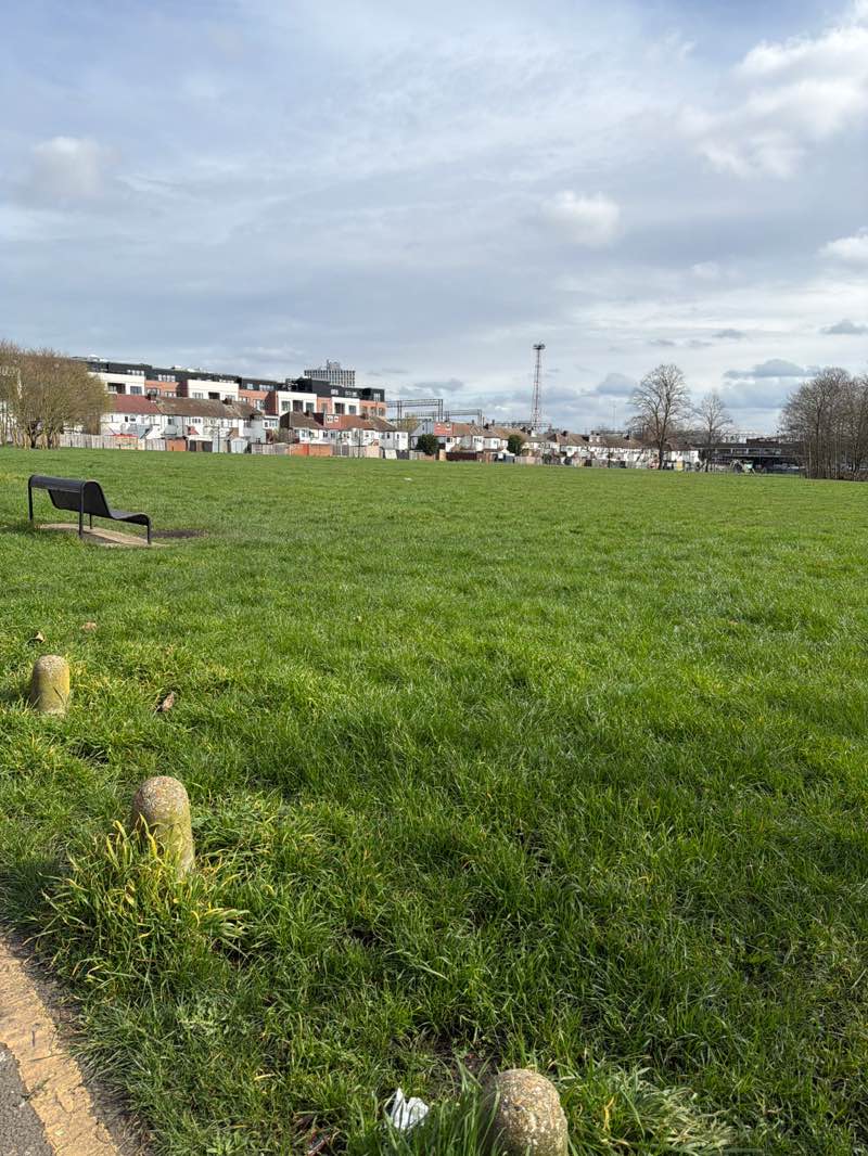walking near me in Heather Park Open Space in spring