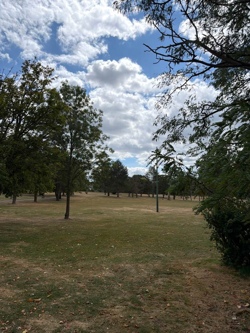 walking near me in Alexandra Park in summer