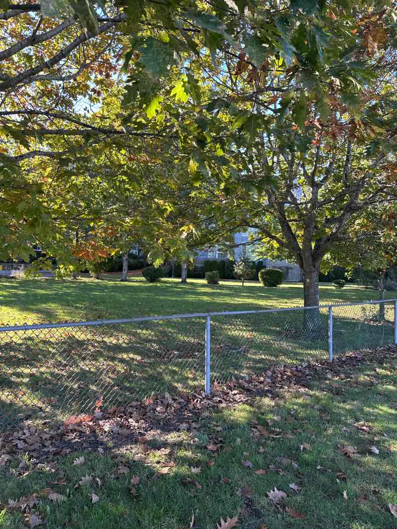 walking near me in T. Homma Neighbourhood Park in autumn