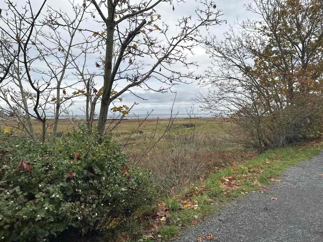 walking near me in Boundary Bay Regional Park in autumn