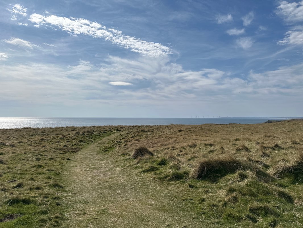walking near me in Forvie National Nature Reserve in spring