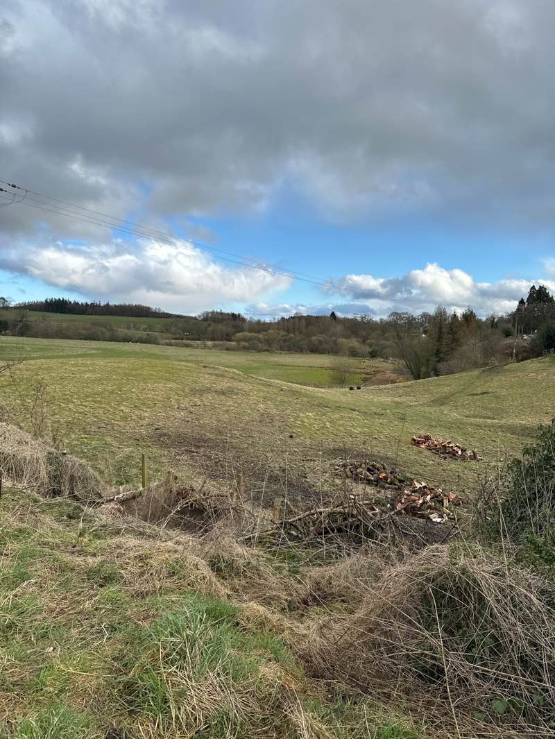walking near me in Moray Park in spring