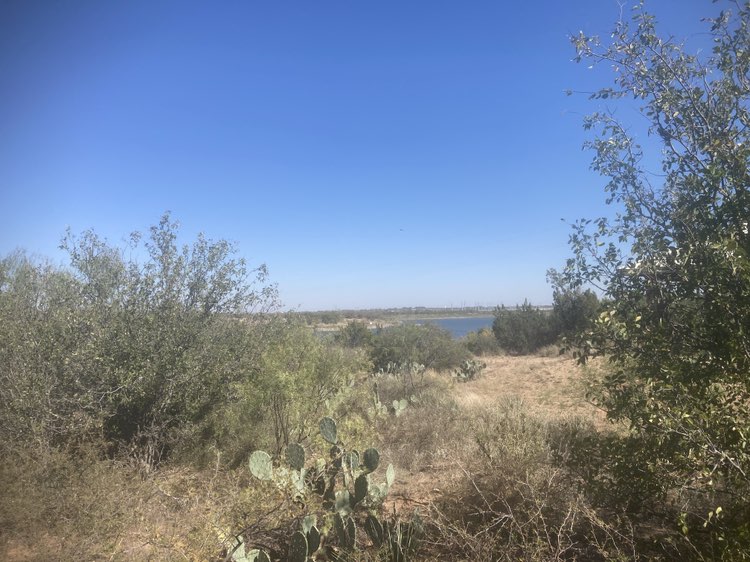 walking near me in Lake Colorado City State Park in autumn
