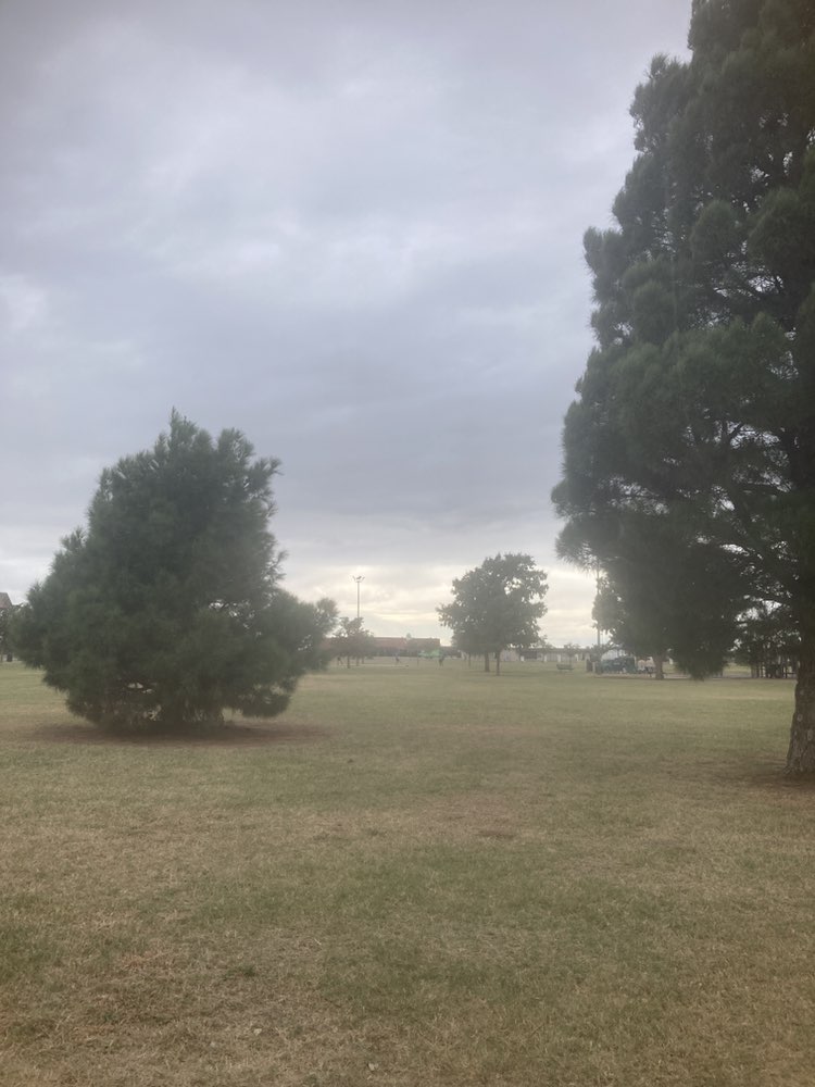 walking near me in Richard Lopez Park in autumn