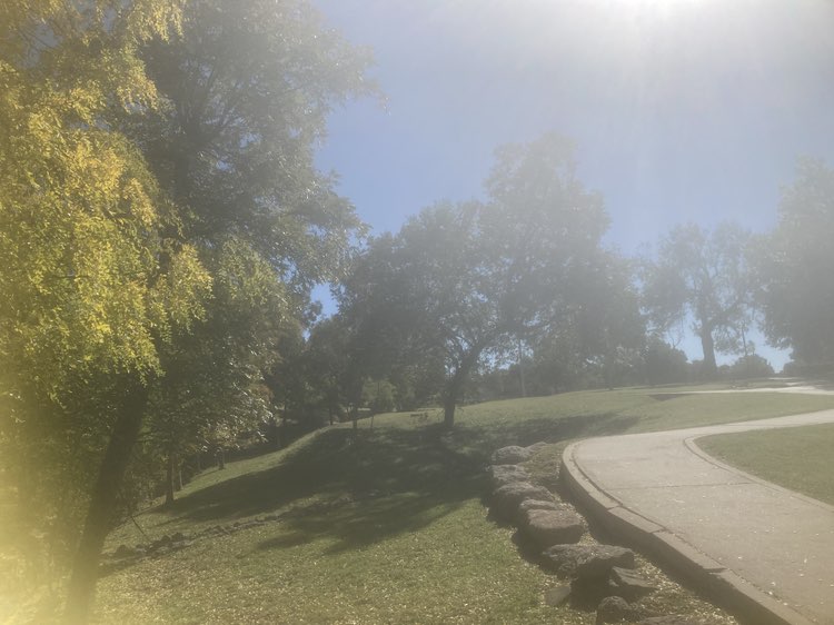 walking near me in Sunken Garden Park in autumn