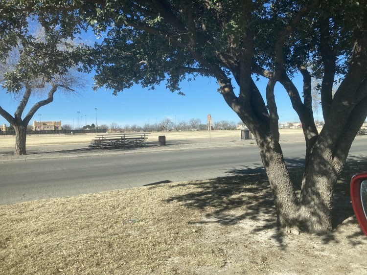 walking near me in DeKay Park in winter