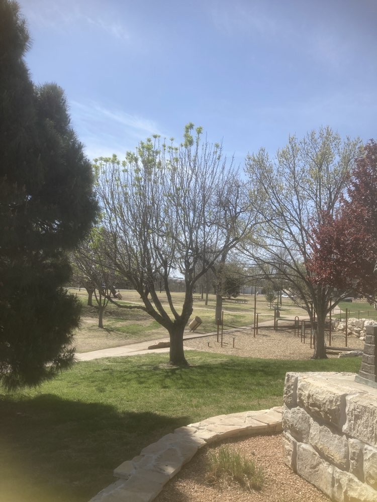 walking near me in San Angelo City Park in spring