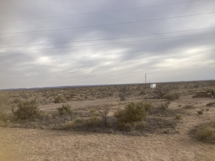 walking near me in Marfa Lights View Park in spring