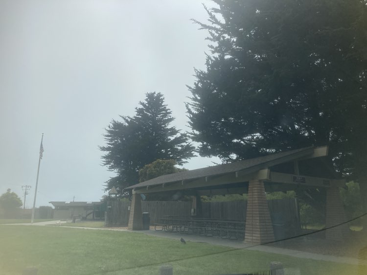 walking near me in Hardie Park in summer