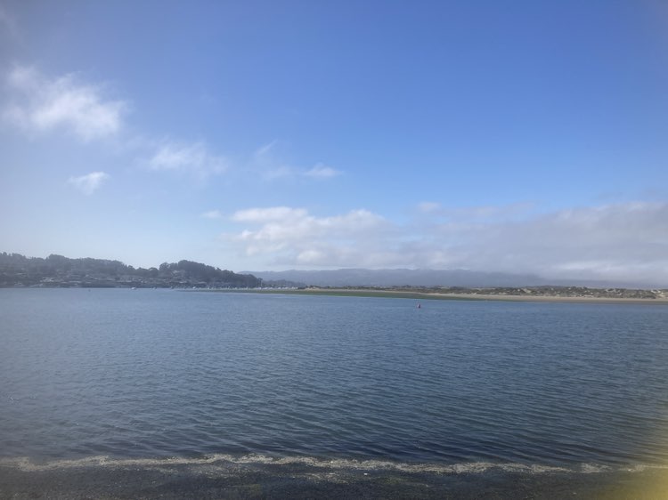 walking near me in Coleman Park in summer