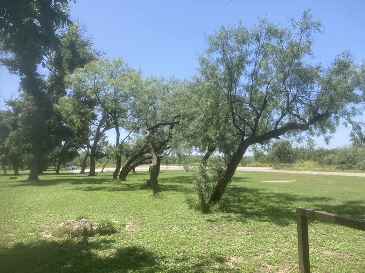 walking near me in San Angelo State Park in summer