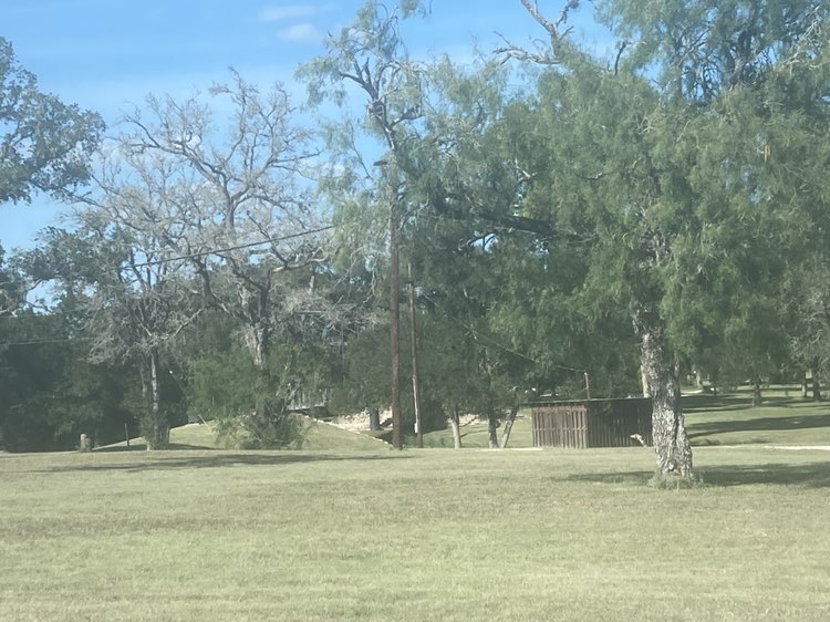 walking near me in Frisbee Golf Course in autumn