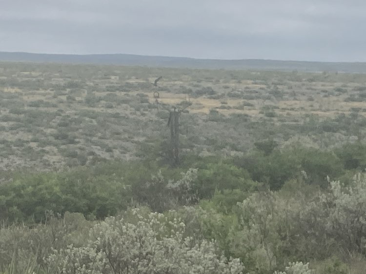 walking near me in Seminole Canyon State Park and Historic Site in summer