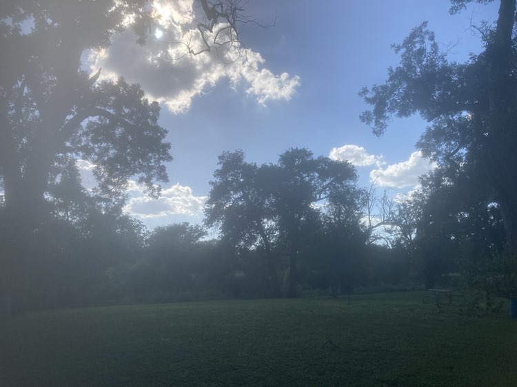 walking near me in Independence Park in autumn