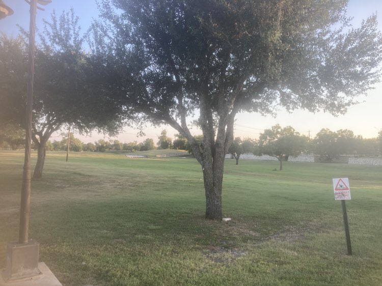 walking near me in Bradfield Village Park in autumn