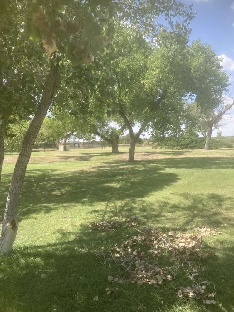 walking near me in Balmorhea State Park in autumn