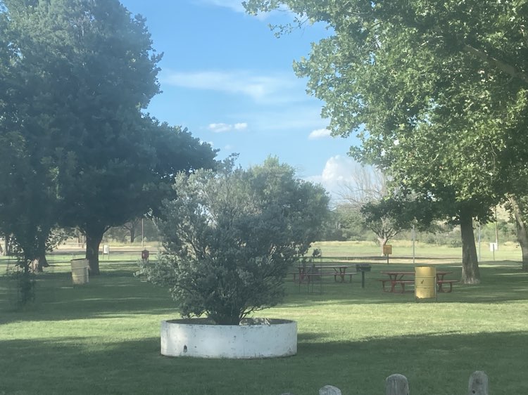 walking near me in Kokernot Municipal Park in autumn