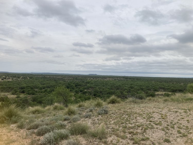 walking near me in San Angelo State Park in summer