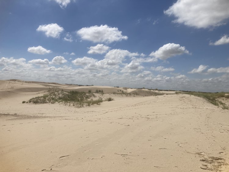 walking near me in Monahans Sandhills State Park in summer