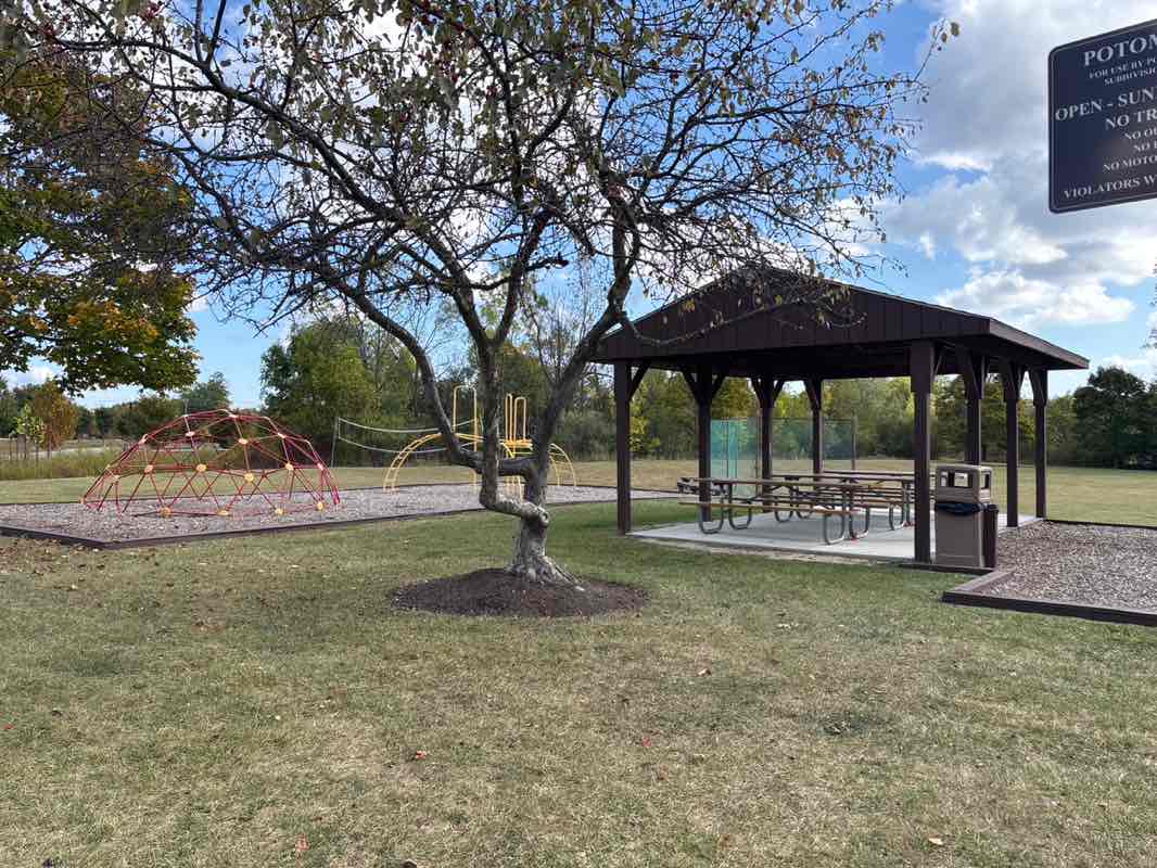 walking near me in Lily Pad Springs in autumn