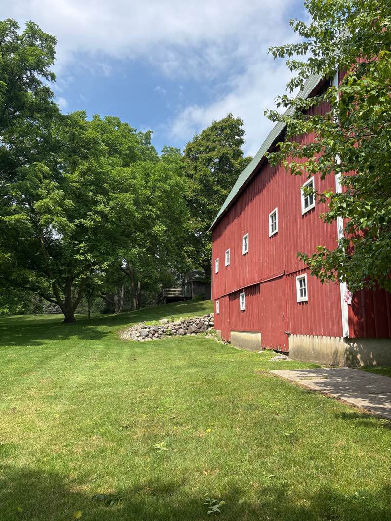 walking near me in Schulak Farm in summer