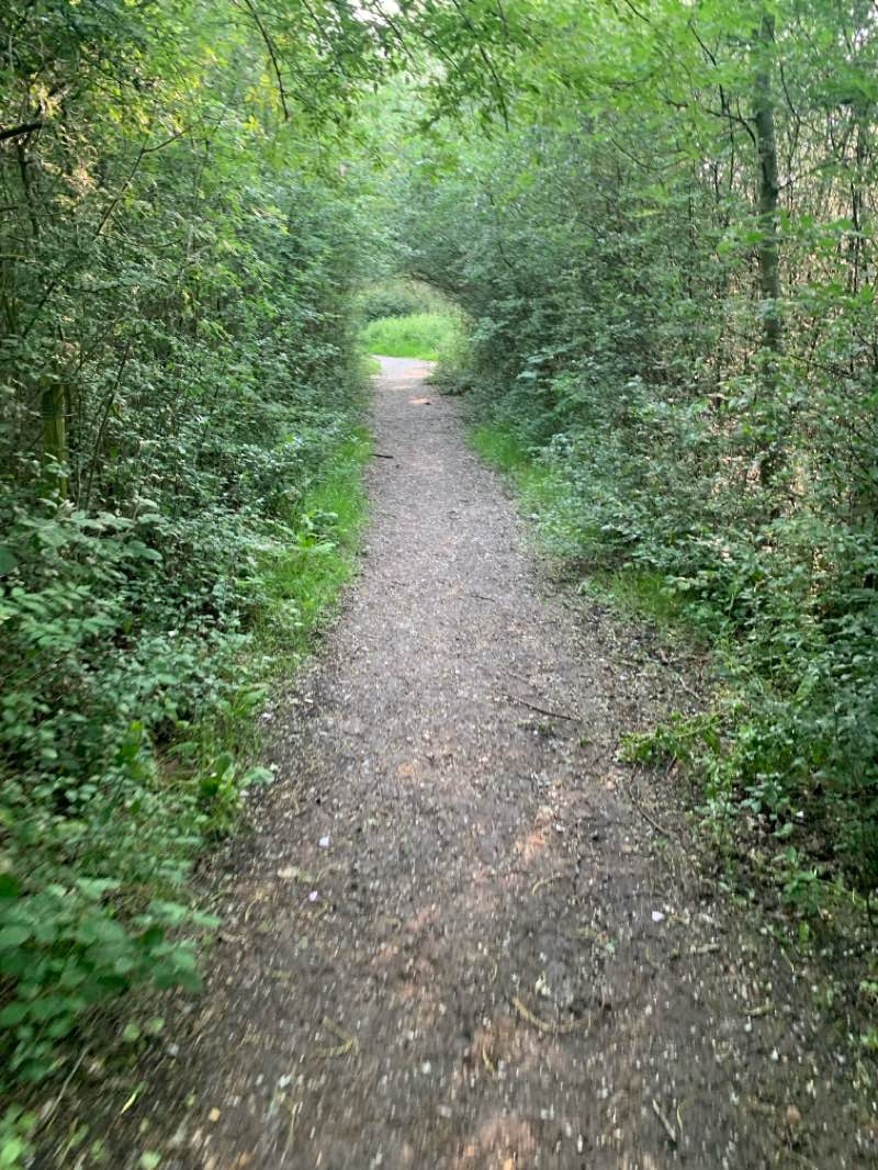 walking near me in Holme Pierrepont Country Park in spring