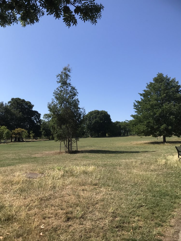 walking near me in Brockwell Park in summer