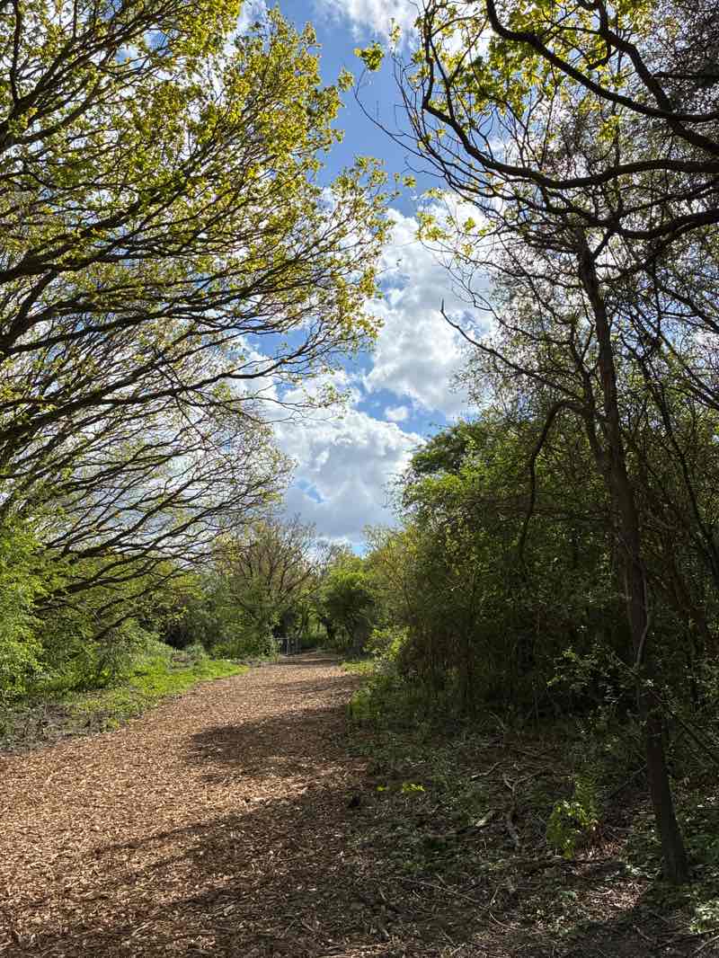 walking near me in West Hendon Playing Fields in spring