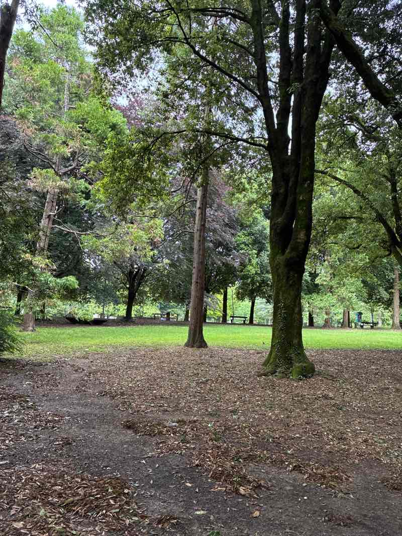 walking near me in Parco Galvani in summer