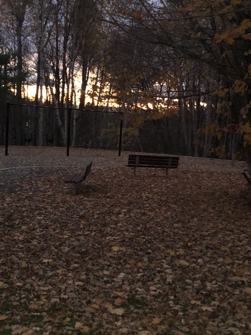 walking near me in Parc de la Halte in autumn