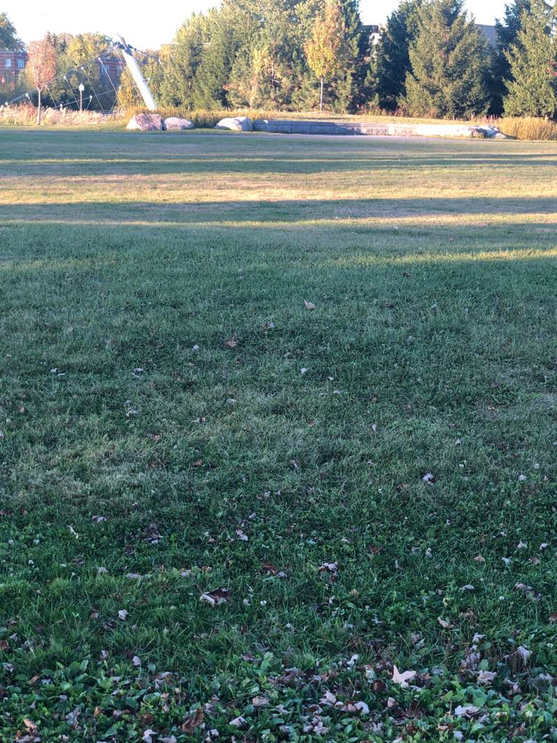 walking near me in Parc de la Pointe-aux-Lièvres in autumn