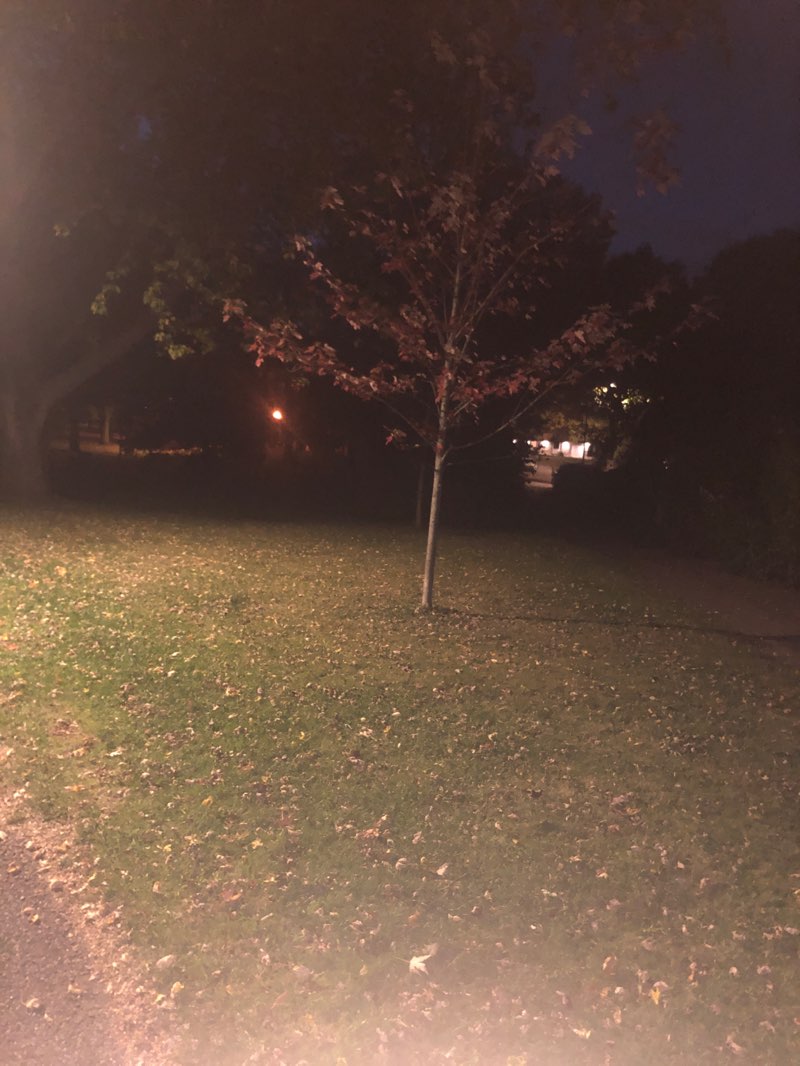 walking near me in Parc Clérin in autumn