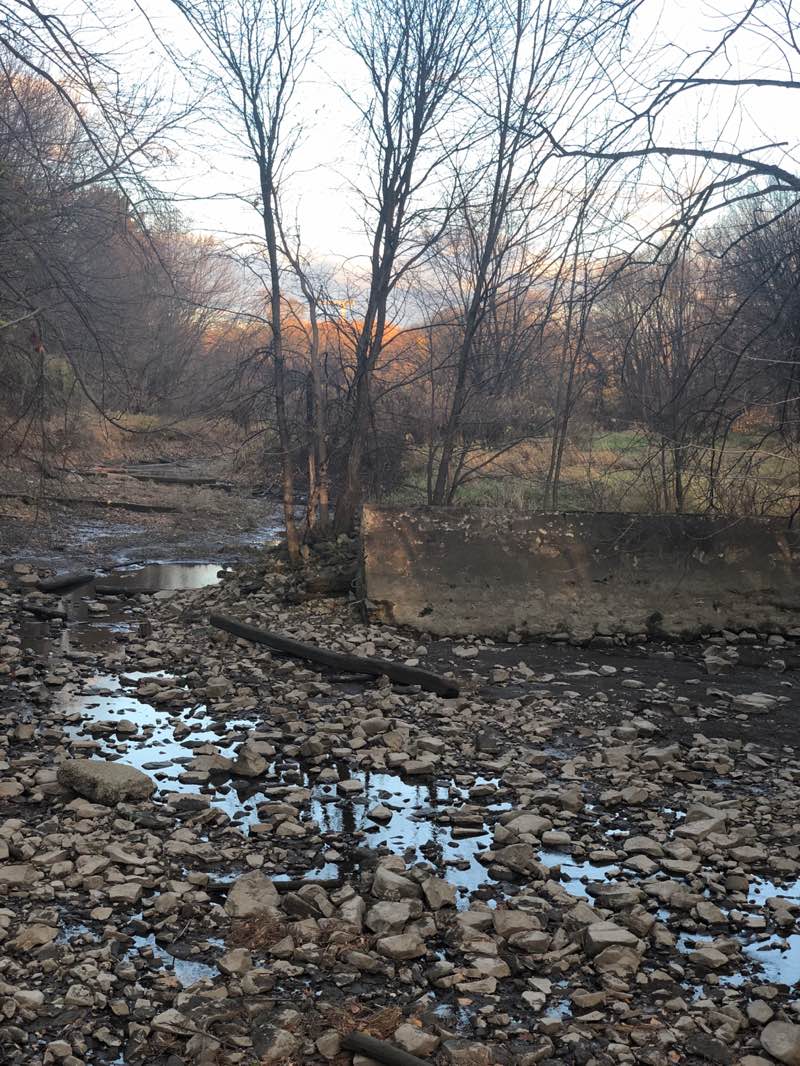 walking near me in Parc du Rigolet in autumn