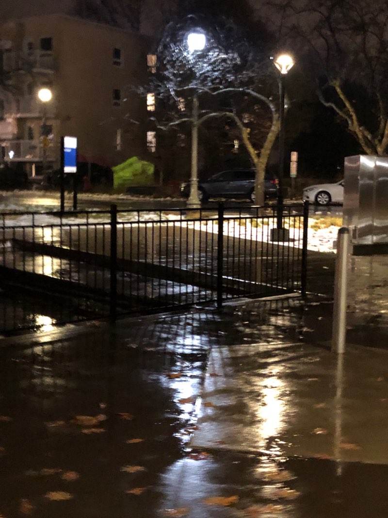 walking near me in Parc Myrand in autumn