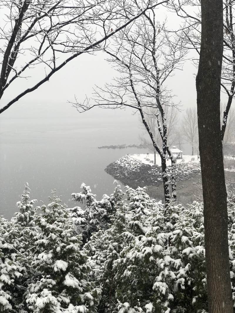 walking near me in Parc du Pont-Garneau in autumn