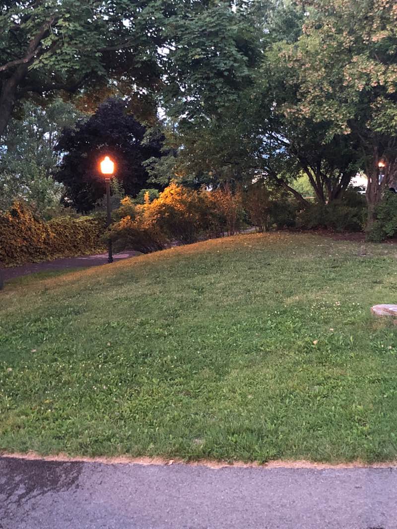 walking near me in Parc Lucien-Borne in autumn