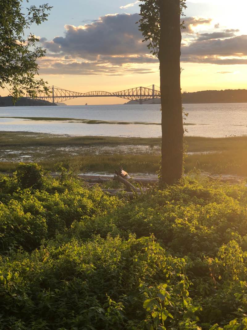 walking near me in Parc de l'Anse-Benson in autumn