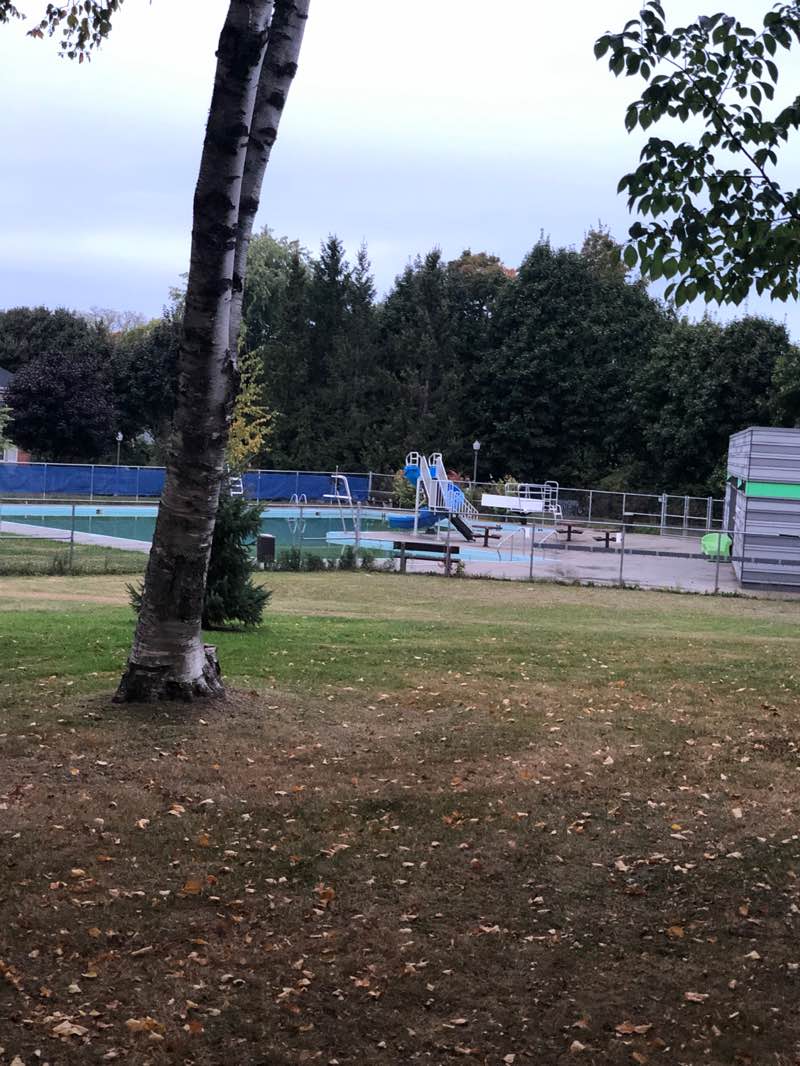 walking near me in Parc Saint-Denys in autumn