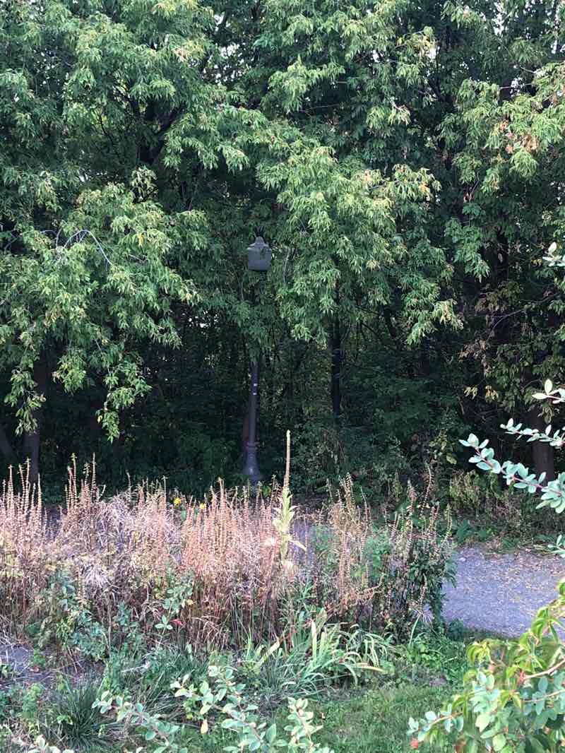 walking near me in Parc des Franciscains in autumn