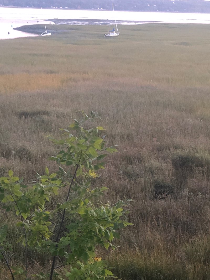walking near me in Parc Jean-Déry in autumn