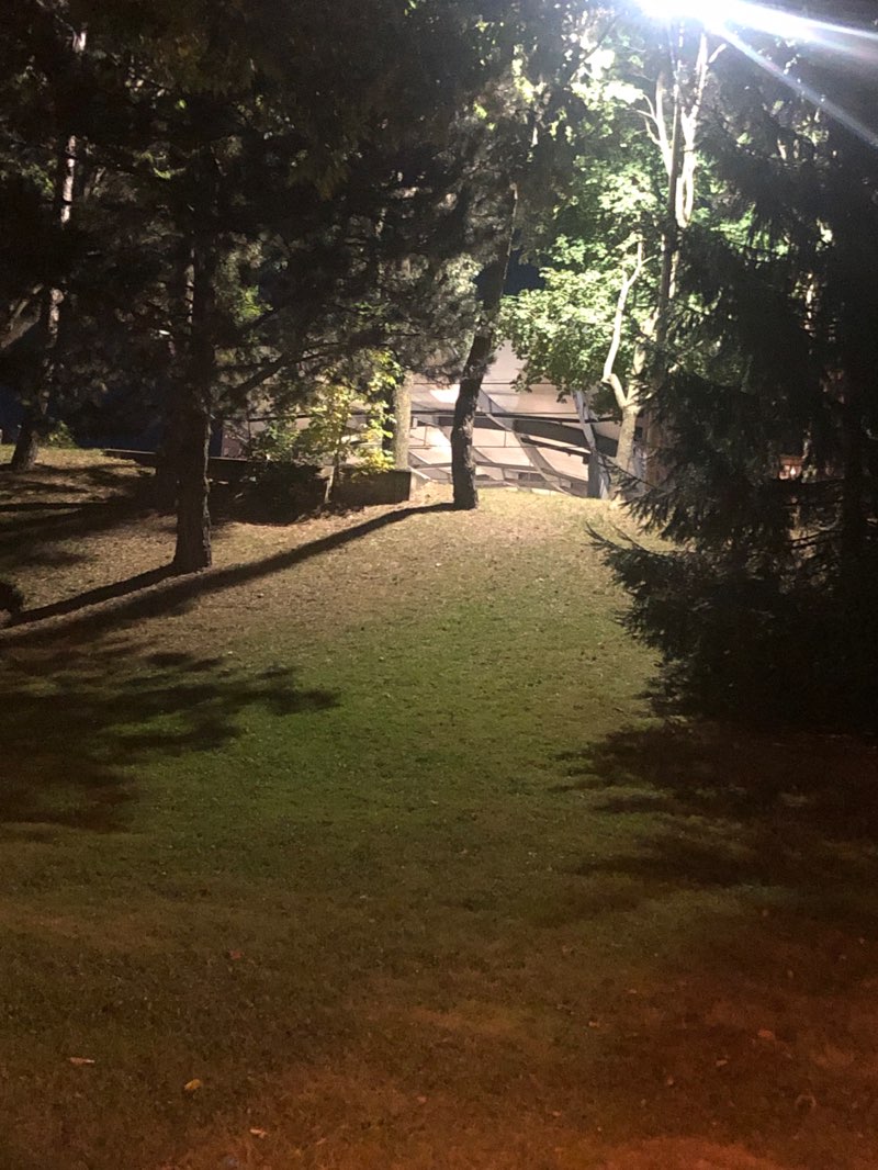 walking near me in Parc Roland-Beaudin in autumn