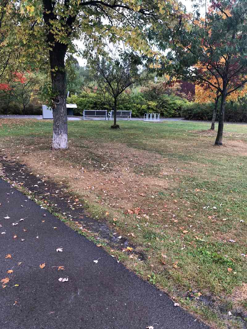 walking near me in Parc Cartier-Brébeuf in autumn