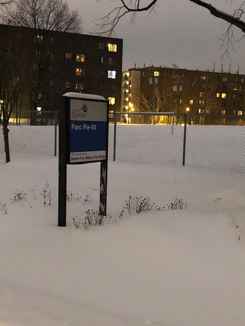 walking near me in Parc Pie XII in winter