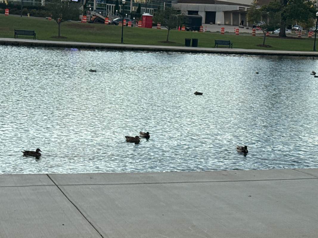 walking near me in Big Spring Park in autumn