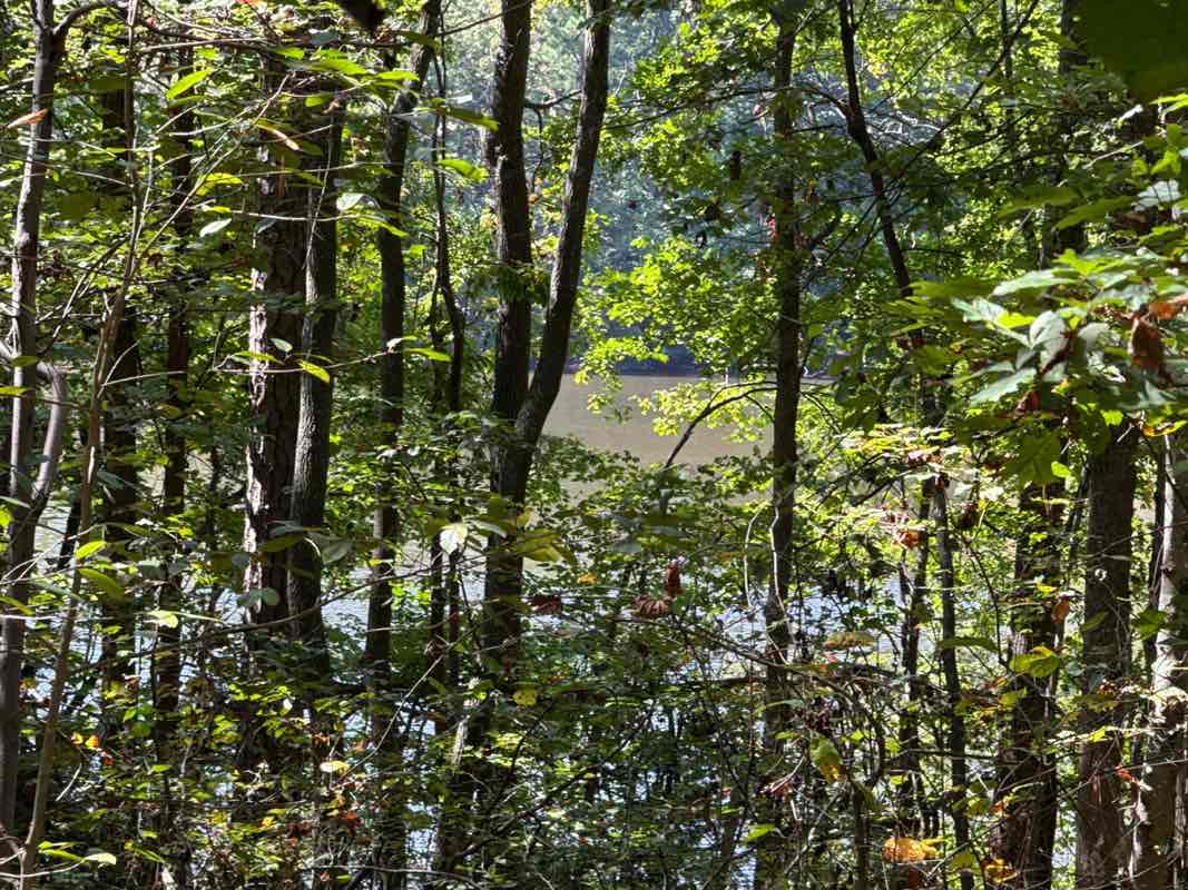walking near me in Madison County Nature Trail and Study Center in autumn