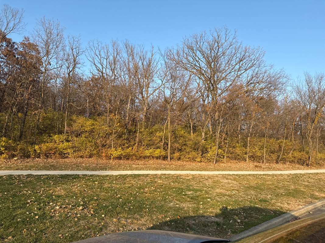walking near me in Happy Rock Park in autumn